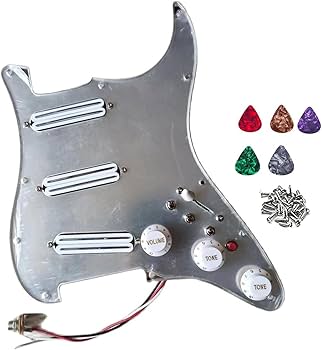 SELDER ミラーピックガード エレキギター ケース付 SELDER ミラー