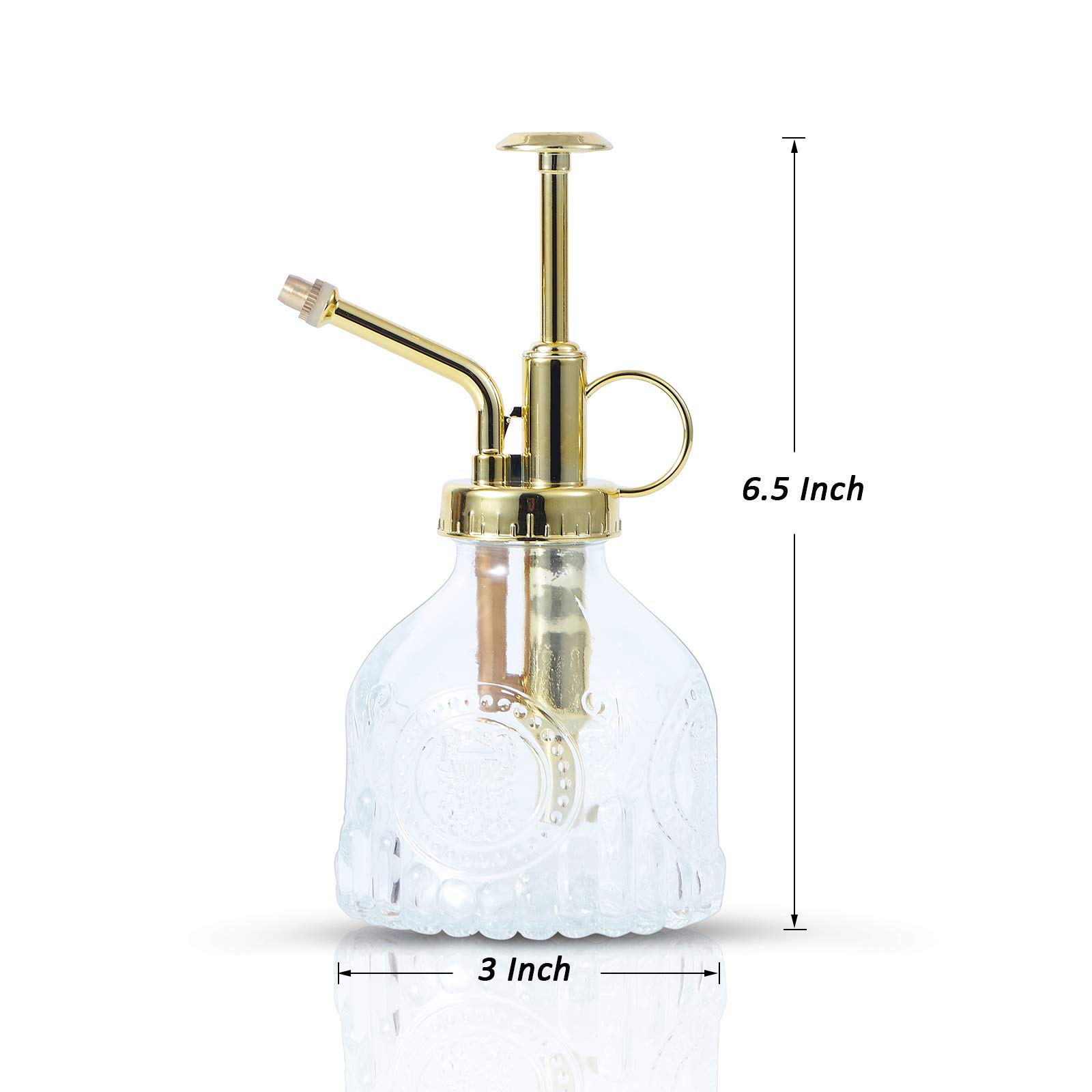 Amazon.com : Ebristar Glass Plant Mister Spray Bottle, Vintage Succulent  Water Sprayer with Golden Top Pump, Small Sprayer Mister for Indoor Outdoor  House Plants - Clear : Patio, Lawn & Garden
