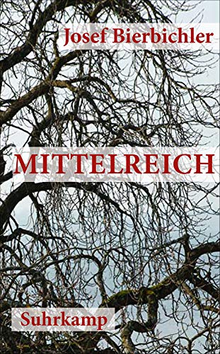 Mittelreich: Roman (suhrkamp taschenbuch) Mittelreich: Roman (suhrkamp taschenbuch)