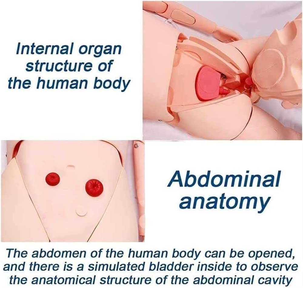 Model anatomiczny człowieka Manekin naukowy do opieki nad pacjentem, do szkolenia medycznego w zakresie pielęgniarstwa, nauczania i edukacji Materiały medyczne