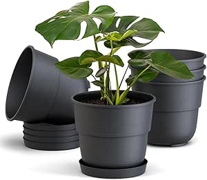 Plastard Blumentöpfe 5er Set 16 cm Durchmesser mit Untersetzer aus