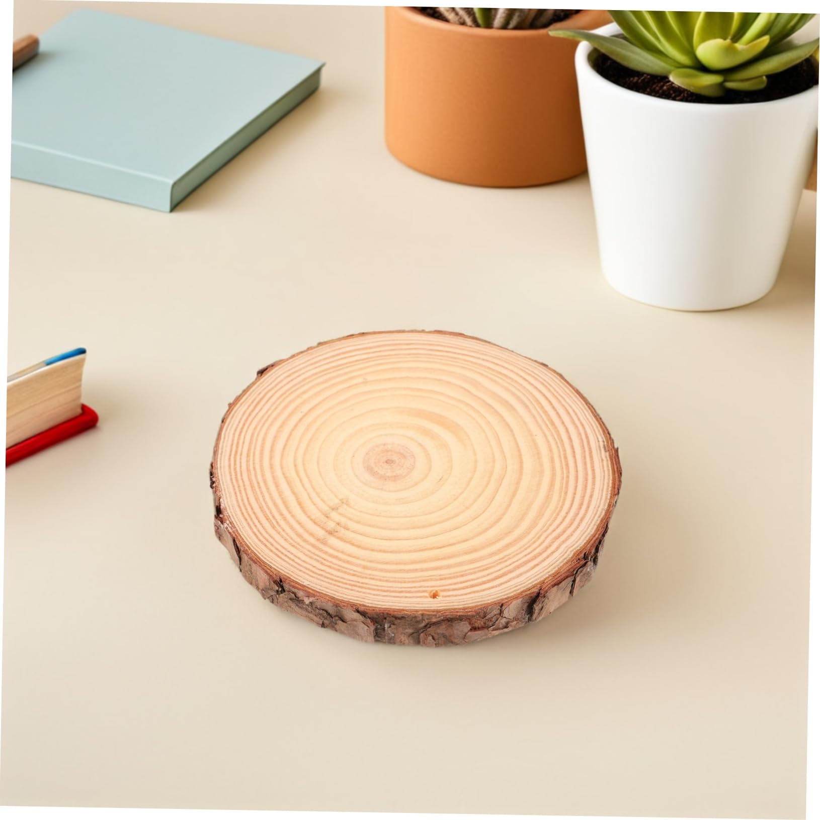 Homoyoyo 5 Stück Naturholzscheiben mit Rinde Robuste Holzkreise für Diy Bastelprojekte Tischdekoration Hochzeit und Weihnachtsdeko Vielseitige Holzscheiben für Kreative Gestaltung