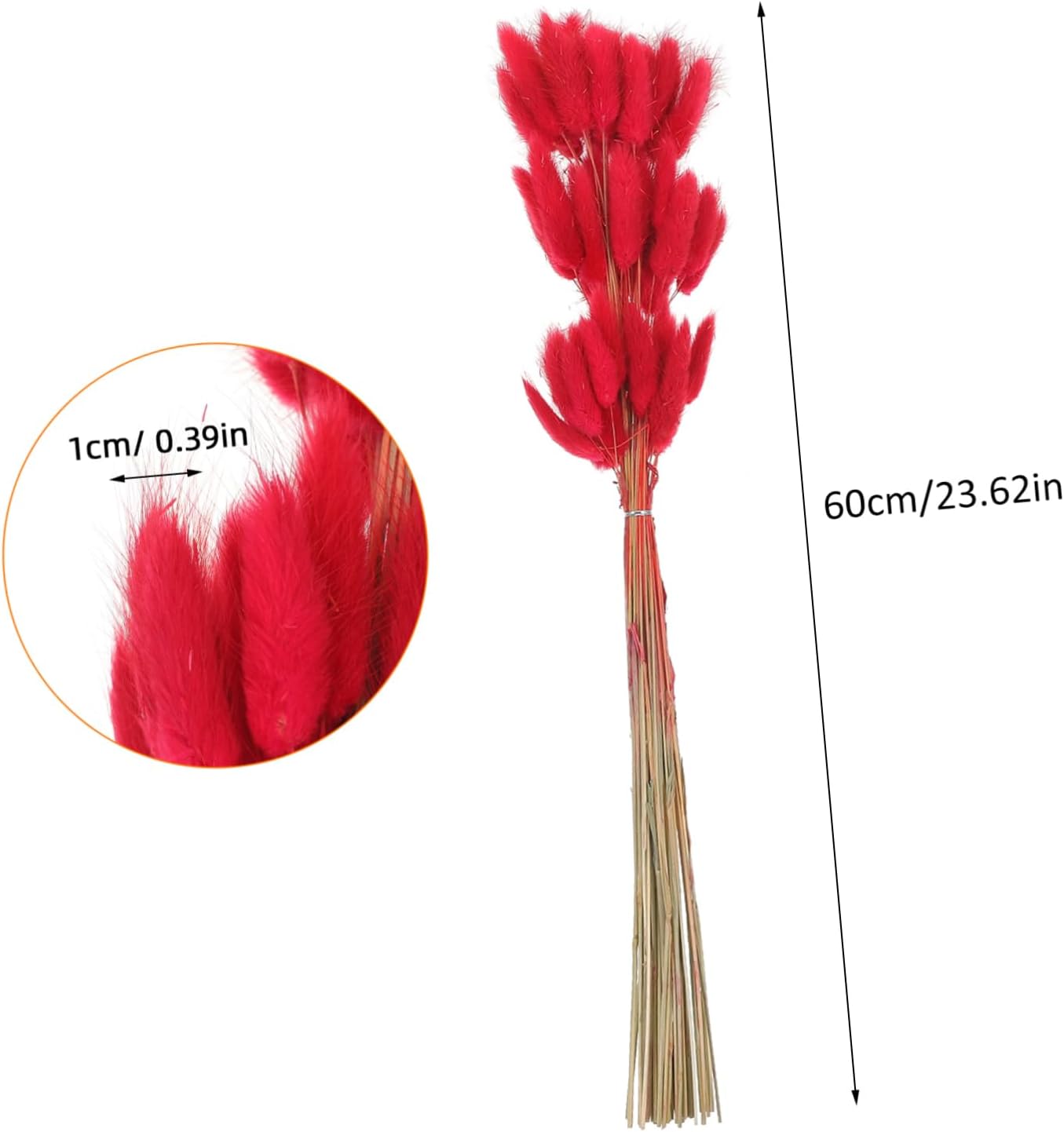 Alipis 60pcs Dried Rabbit Tails Decorative Plant Decor Bouquet for Home and Wedding Arrangement Dried Flowers for DIY Floral Projects Versatile Indoor and Outdoor Decor