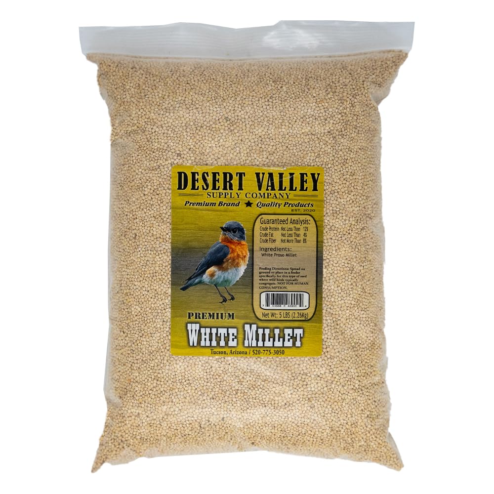 Desert Valley White Millet Seed, All Natural, Non-GMO Premium Wild Bird Food for Cardinals, Finch, Song Birds, Buntings and More (5 Pounds)