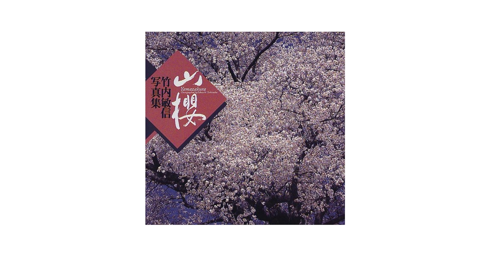 山河照抄 竹内敏信写真集 竹内敏信写真展「天地聲聞 春夏編」 - YouTube