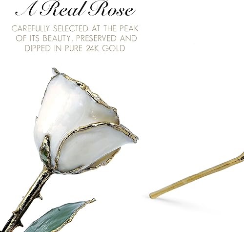 Miniatura 2 de Forever Rose Rosa perla blanca bañada en oro de 24 quilates, piedra natal de junio, una rosa única y eterna perla blanca real bañada en oro de 24