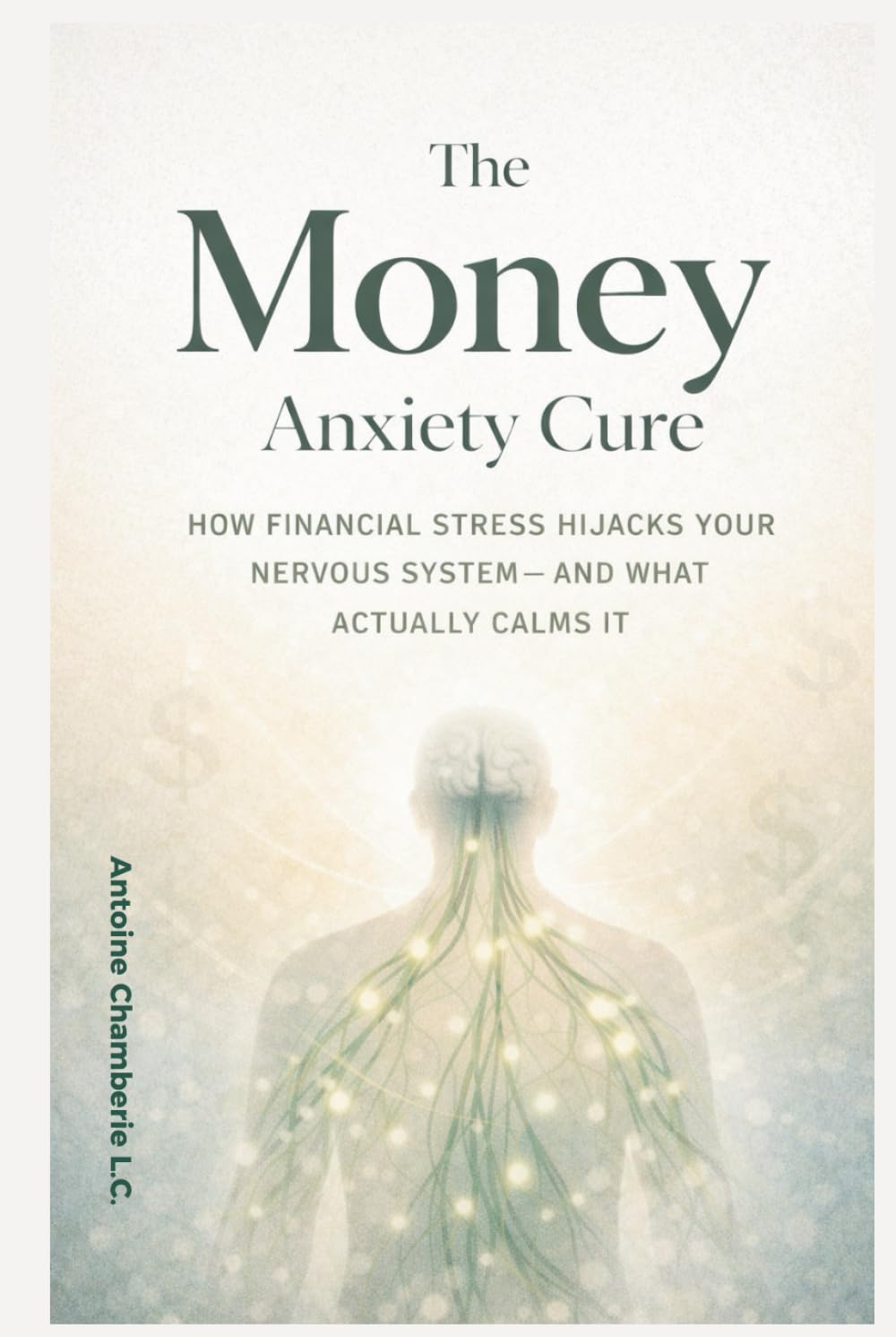 THE MONEY ANXIETY CURE BOOK: How Financial Stress Hijacks Your Nervous System — and What Act