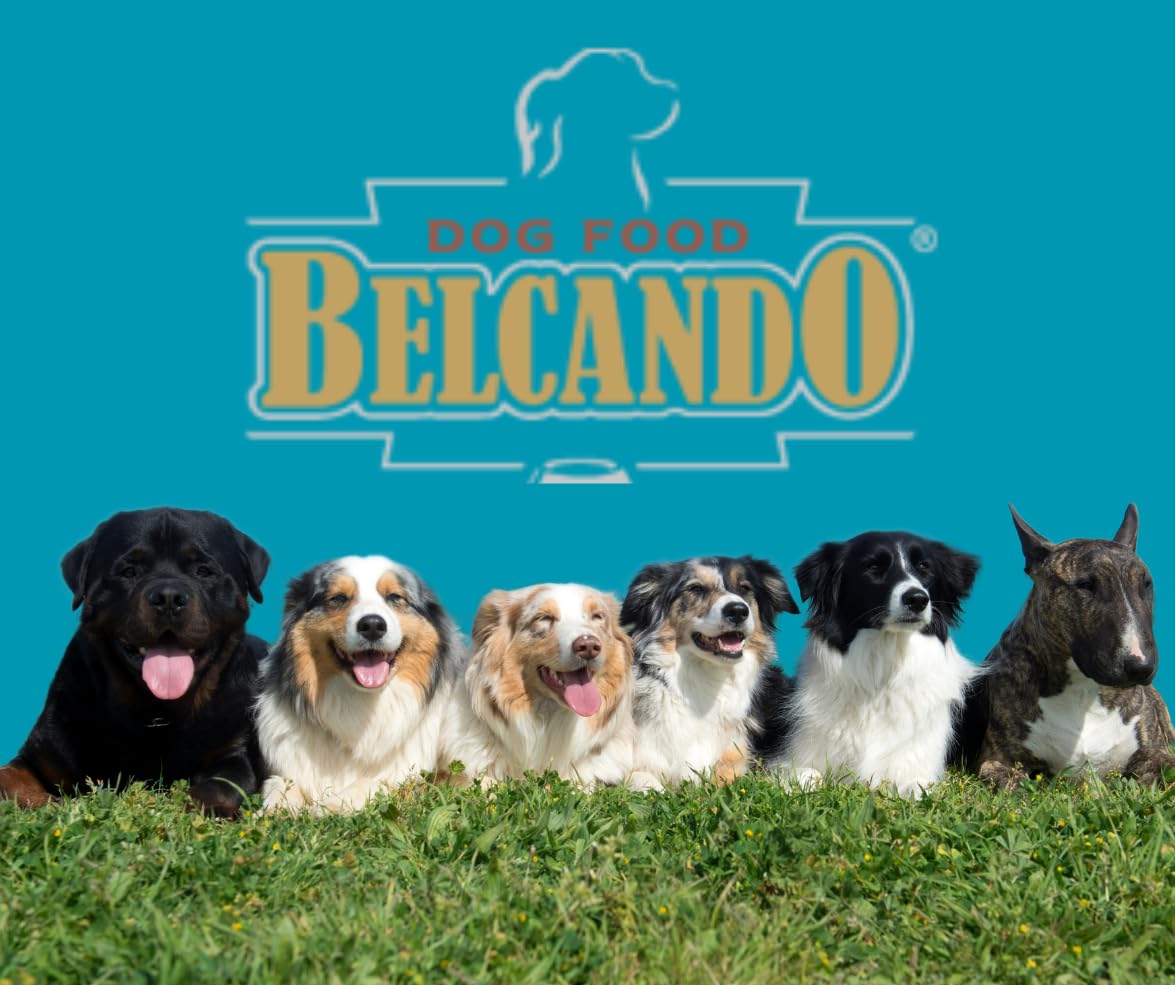 Belcando Baseline Sparpaket 2x6x800g – Nassfutter Mix für Hunde mit 6 Sorten: Forelle, Rind, Lamm, Huhn, Wild & Ente, Truthahn – Premium Hundenahrung aus Deutschland – ohne Zucker & Soja