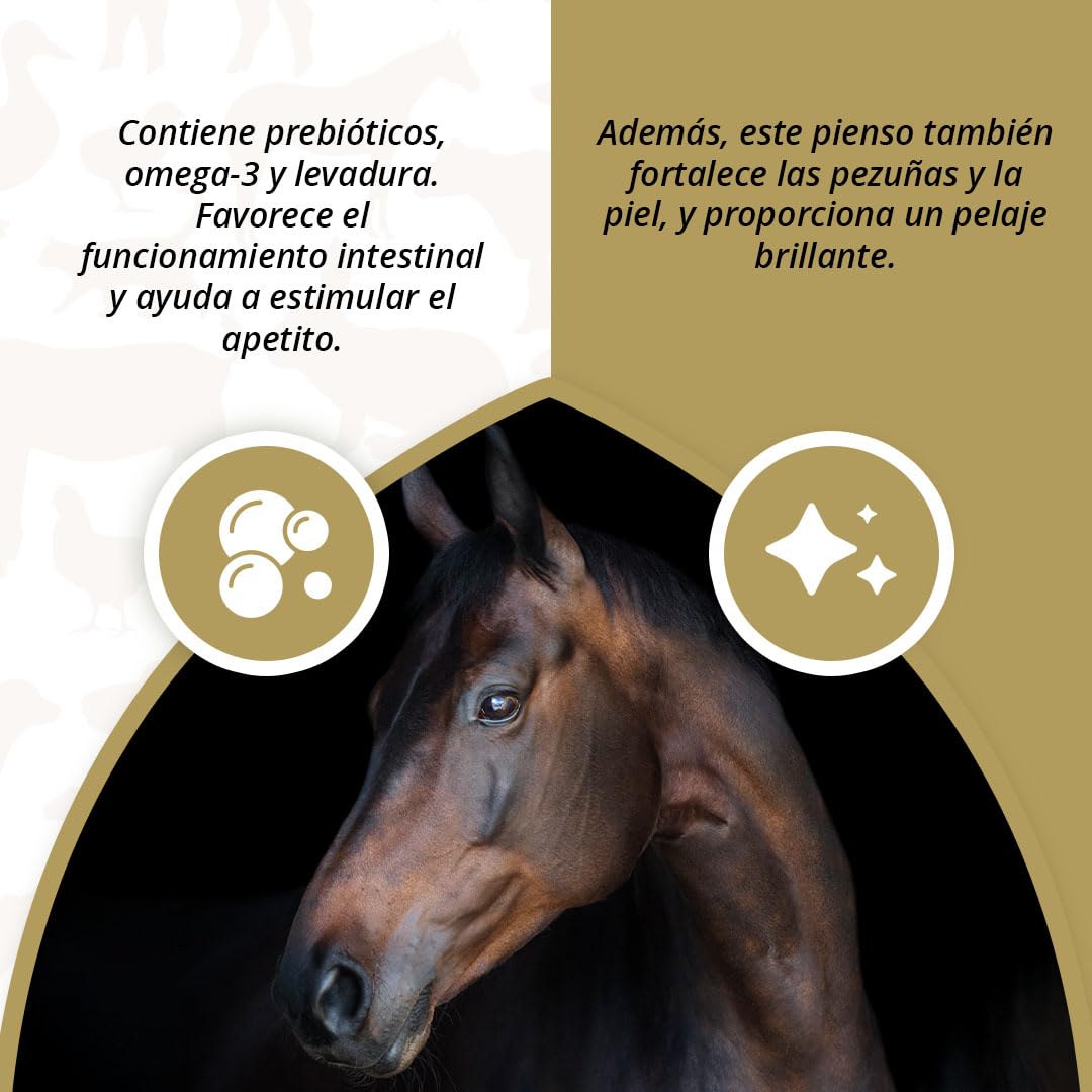Holland Animal Care Excellent Equi Prebiotics – Promueve la actividad intestinal y estimula el apetito – Adecuado para caballos – 2,5 kg
