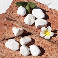 14 Galets à Peindre 5-7cm - Pierres Naturelles Lisses Pour Artisanat