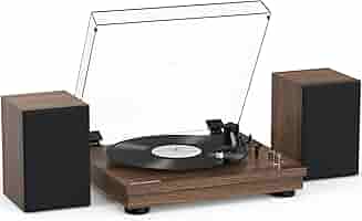 Amazon.com: Vinyl Record Player with 24W HiFi Stereo