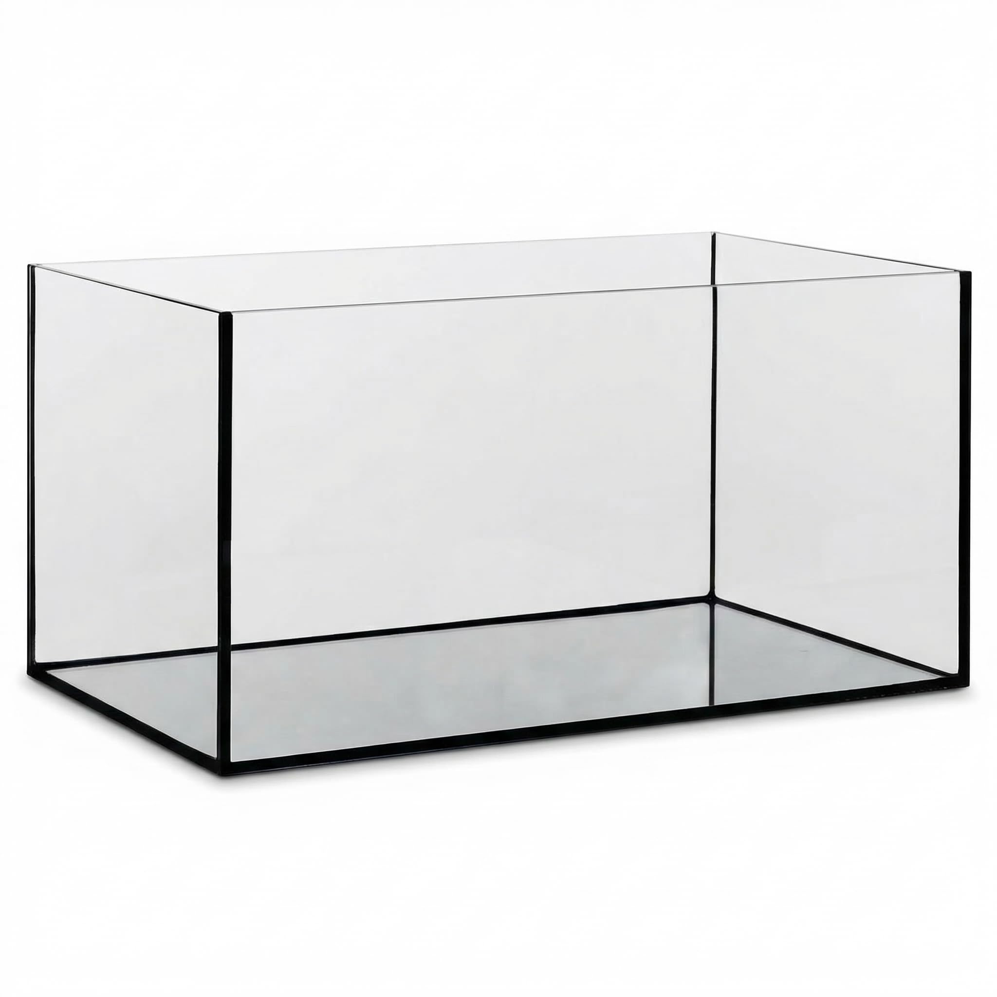 Pondlife Aquarium 60x30x30 cm Glasbecken 4 mm Floatglas geschliffene polierte Kanten Schwarze Silikonverklebung Süß- Meerwasser Terrarium