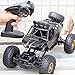 XiYou Auto telecomandate con Doppi Motori, Radio Fuoristrada elettrica Ricaricabile Impermeabile per Tutti i Terreni ler Drift Stunt Toy per 12+ Girl Boys Giochi e Giocattoli