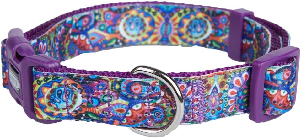 mayan dog collar
