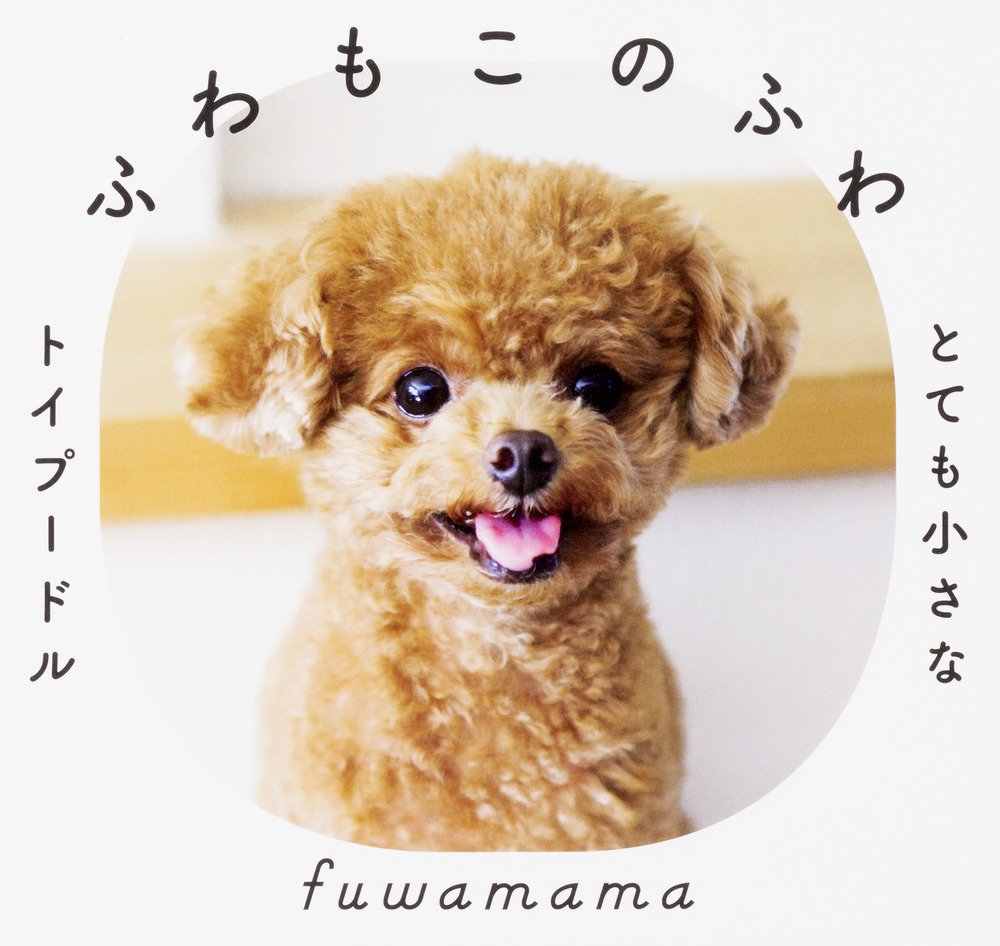 ふわもこのふわ とても小さなトイプードル Fuwamama 本 通販 Amazon