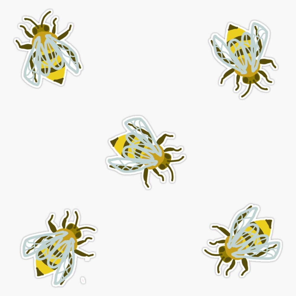 Bee Cool (Ayy) Vinyl Waterproof Sticker Decal Car Laptop Wall Window Bumper Sticker 5