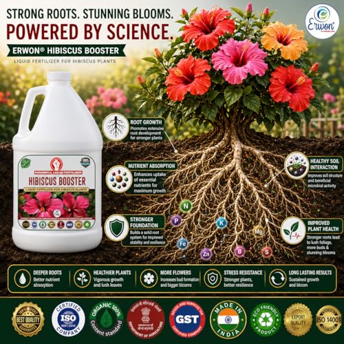 Image of Erwon Hibiscus Booster, Premium Essential Powerful Liquid Fertilizer for the Best Growth of Hibiscus Plants with Flowering Nutrients and Charged Micro-organism (500 ml)