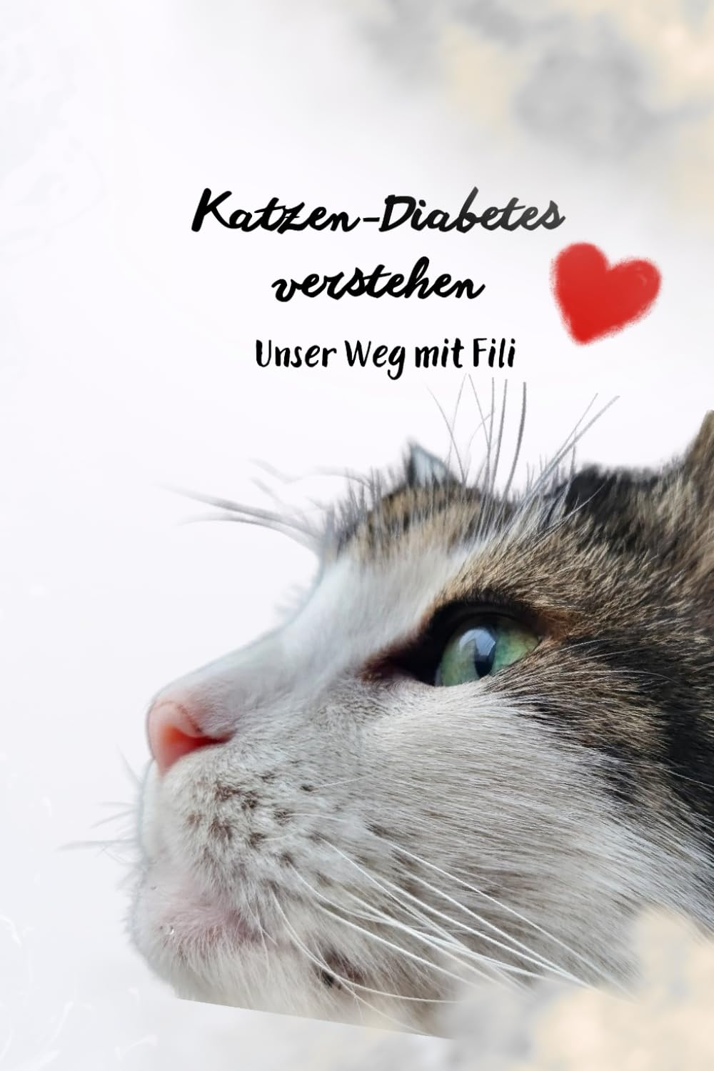 Diabetes bei Katzen: Unser Weg mit Fili