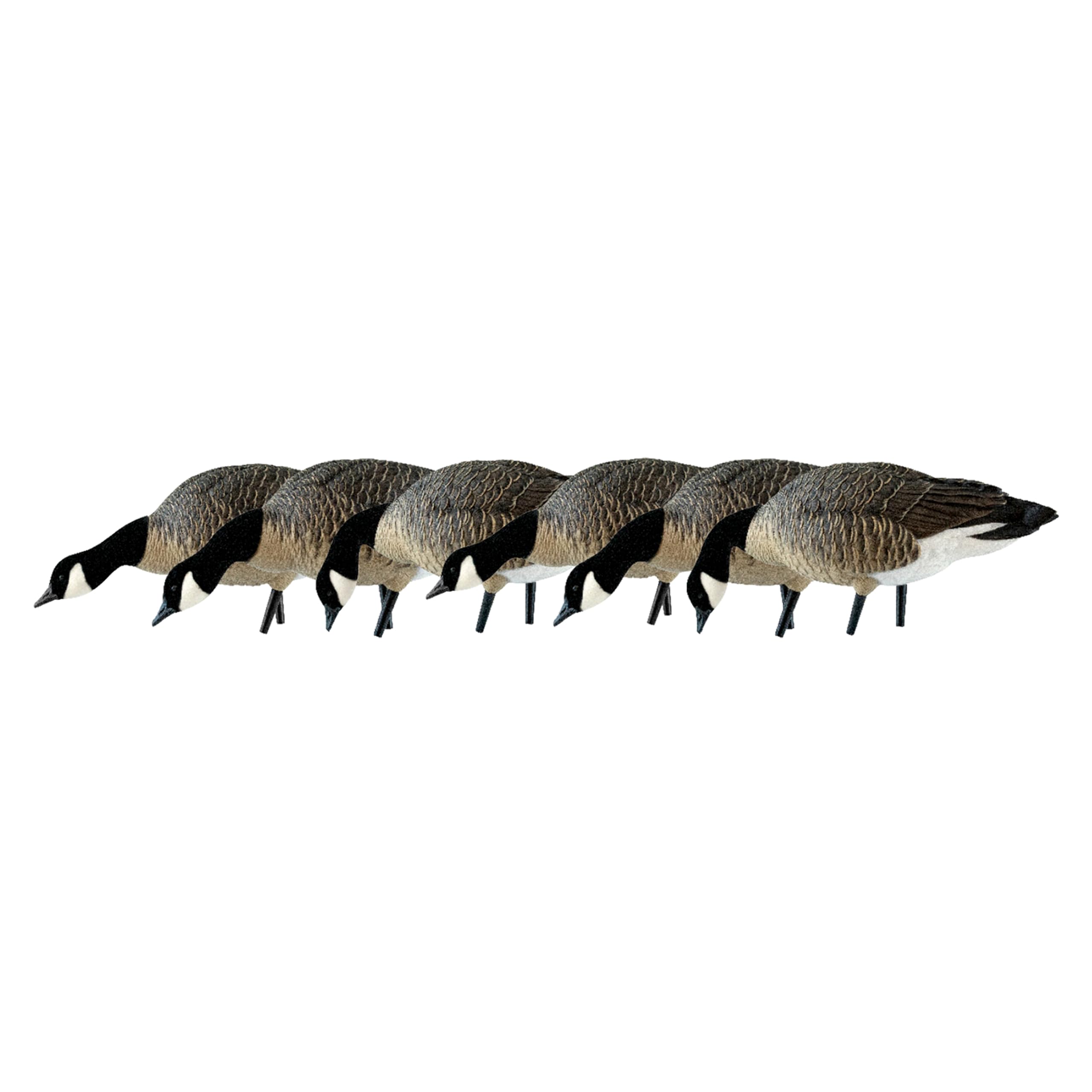 Avian-X AXP Honkers Fusion Pack