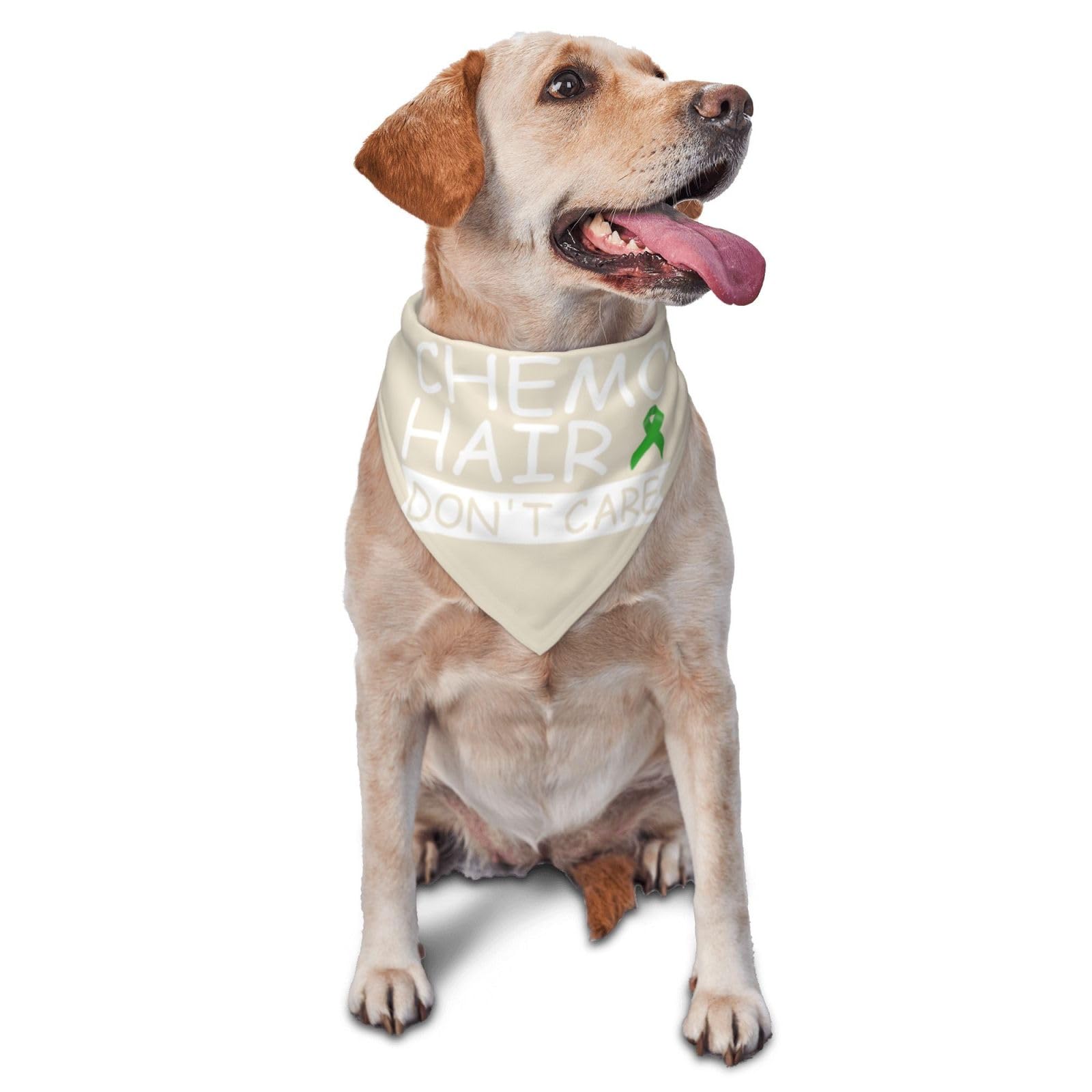 Chemo Hair Don't Care Bone Marrow Transplant Dog Scarf Pet Bandana Cat Pet Bibs