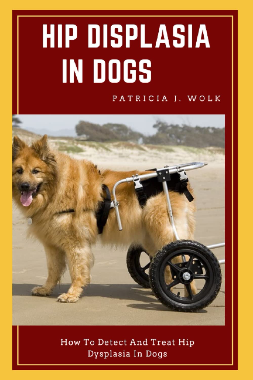 Buy Hip Displasia in Dogs How To Detect And Treat Hip Dysplasia In