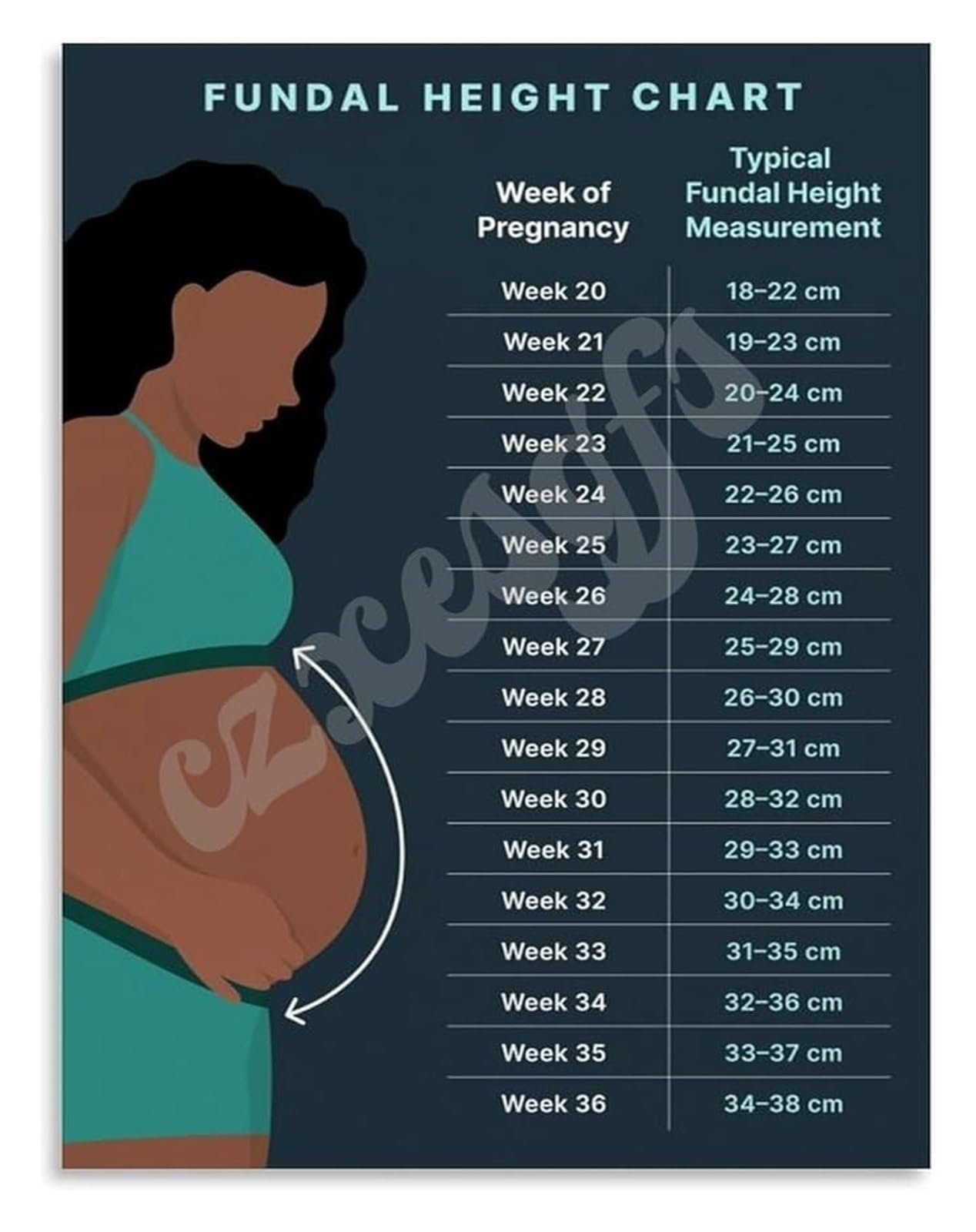 GYQYJPFZM Fundal Height Chart Pregnancy Growth Poster Educational Art Print for Expecting Mothers Midwives and OB GYN Office Wall Decor(Framed,08x12inch(20x30cm))