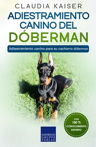 Adiestramiento canino del dóberman: Adiestramiento canino para su cachorro dóberman