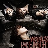「RAISE INSIGHT」 (通常盤) - WANDS (Blu-ray Disc付)