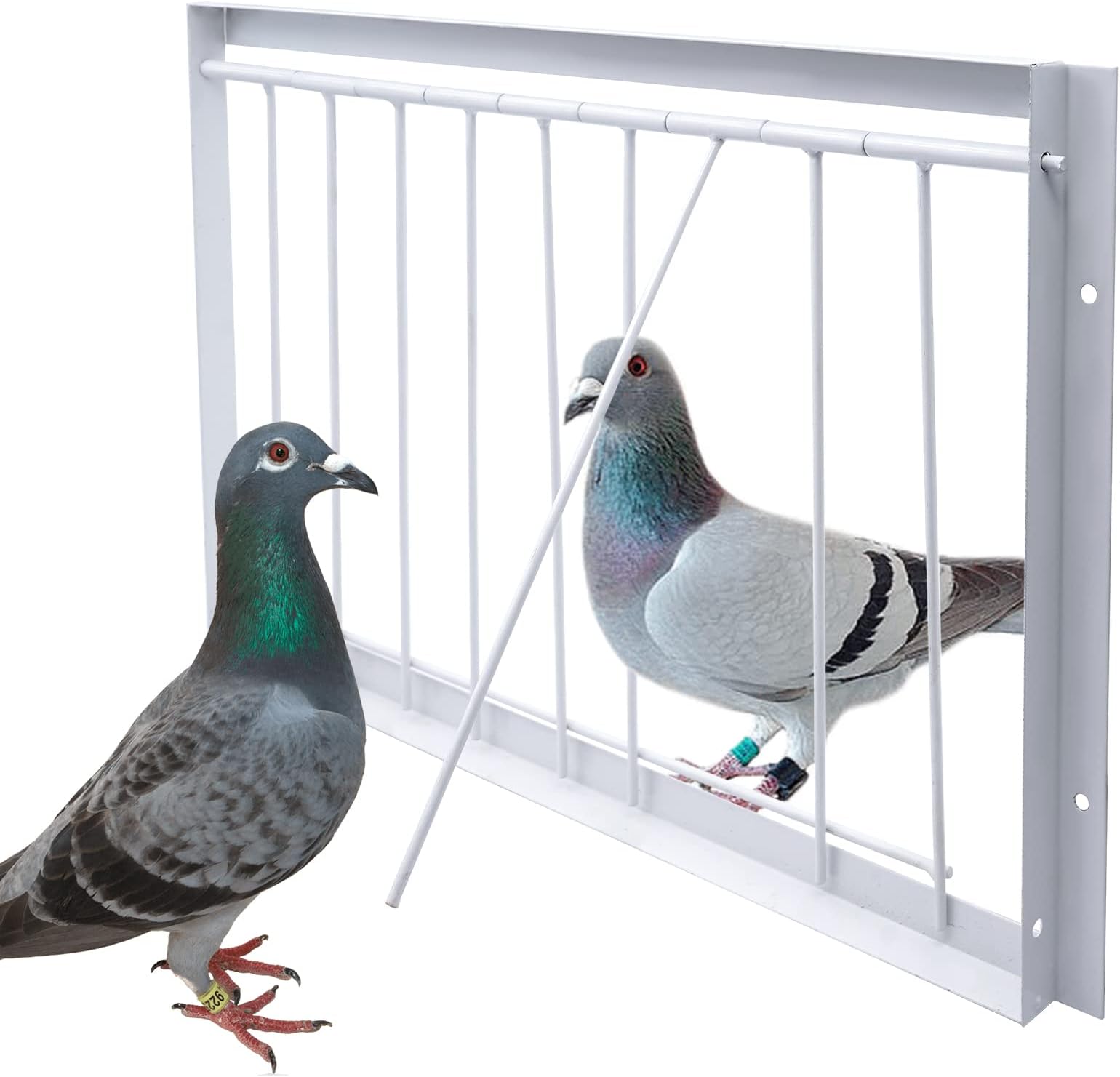 Junniu 15.7in/40cm Pigeon Cage Door One Way Entrance Door Bird T-Trap Birdcage Iron Wire Trap Door for Racing Pigeon Bird Cage Breeding Supply, 15.7in (40cm)