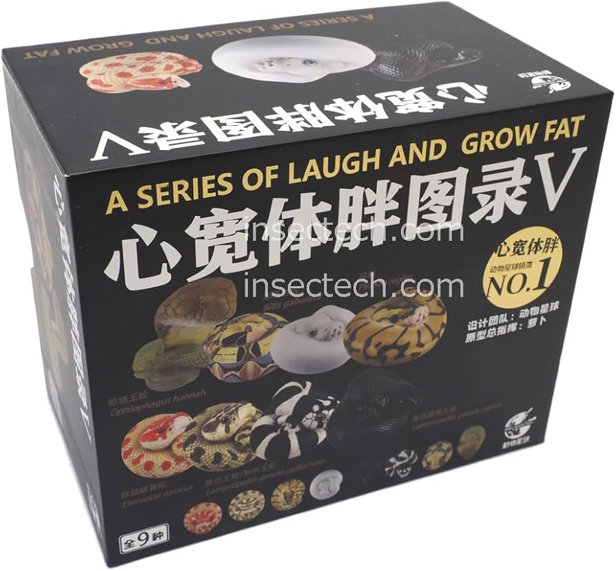 Amazon.co.jp: 【動物の惑星】ボールパイソン（エンチ）フィギュア完成