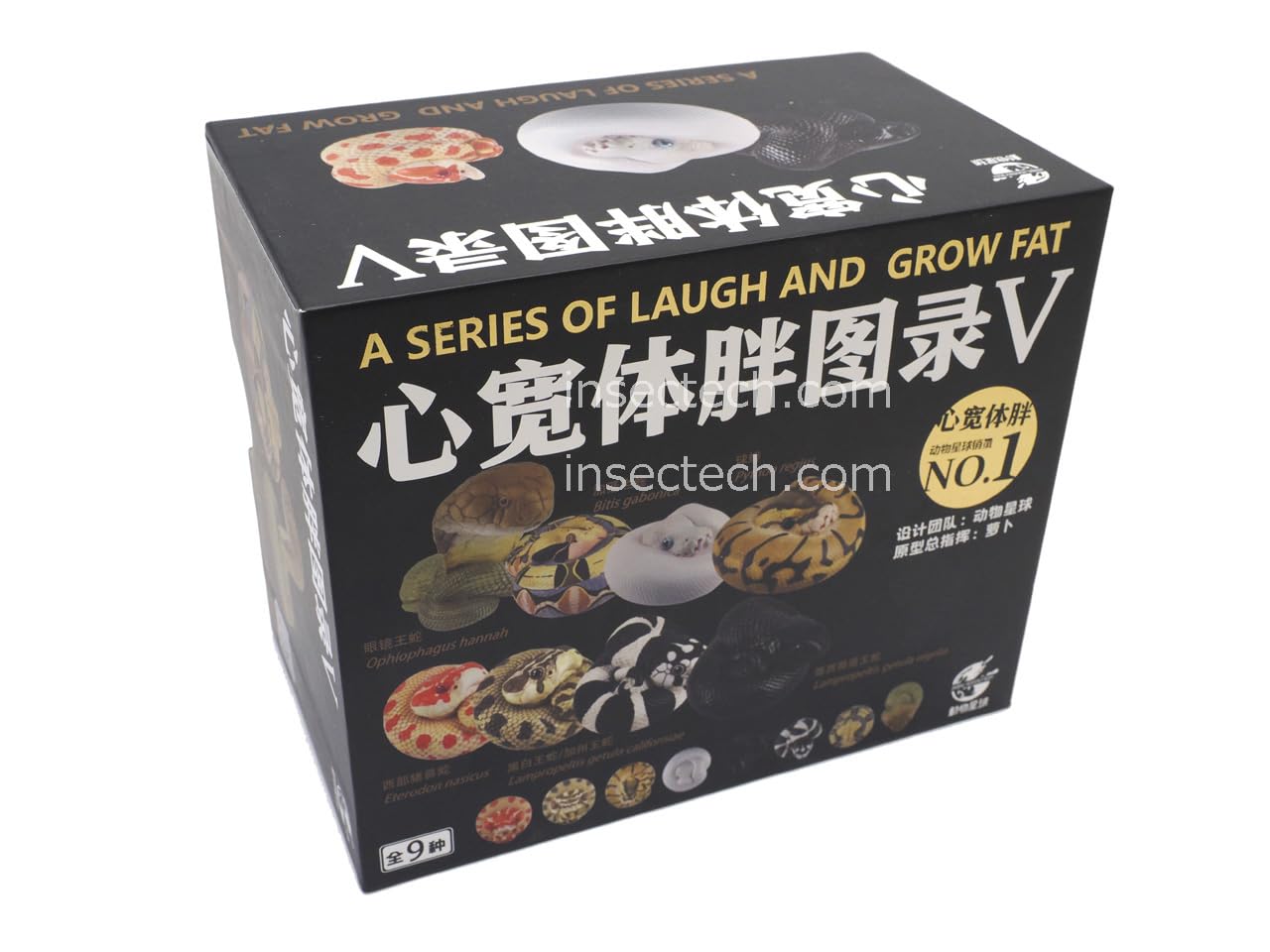 Amazon.co.jp: 【動物の惑星】ボールパイソン（エンチ