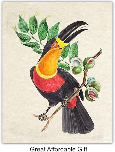 Miniatura 6 de Bird Wall Art - Bird Wall Decor - Tropical Wall Decor - Tropical Birds - Parrot Decorations - Parakeet, Cockatoo, Lovebird, Toucan Wall Art -