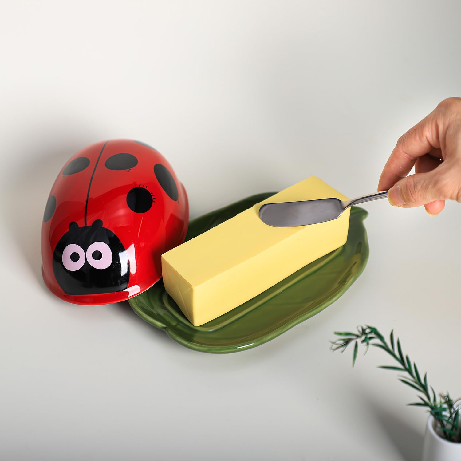 Amazon.com | Bicuzat Ceramic Ladybug and Leaf Butter Dish with Lid 