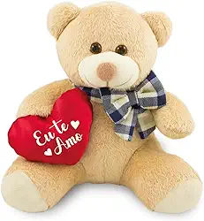 Urso de Pelúcia Apaixonado 20cm