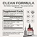 Vimergy USDA Organic Total Immune Blend* Liquid Supplement, 57 Servings Fast-Absorbing Immune Support – All-Season, Zinc, Thyme and Mullein Drops Non-GMO, Vegan, Immunity Support for Adults (115 mL)