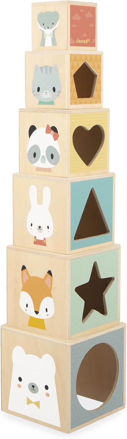 Janod J05147 First Wooden Pyramid - 6 Cubes Stacking Toy - Develops Dexterity and Imagination - Early Ages 12 Months from 12 Months, Multi-Coloured