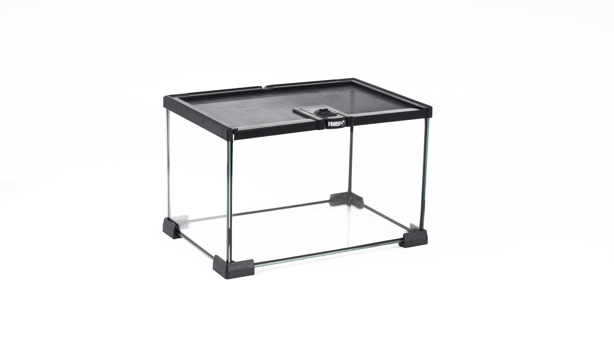 Prorep Mini Terrarium 310 X 210 X 200mm | Spider Tank | Stick Insect Tank | Snail Enclosure | Small Glass Reptile Terrarium | Invertebrates | Amphibians