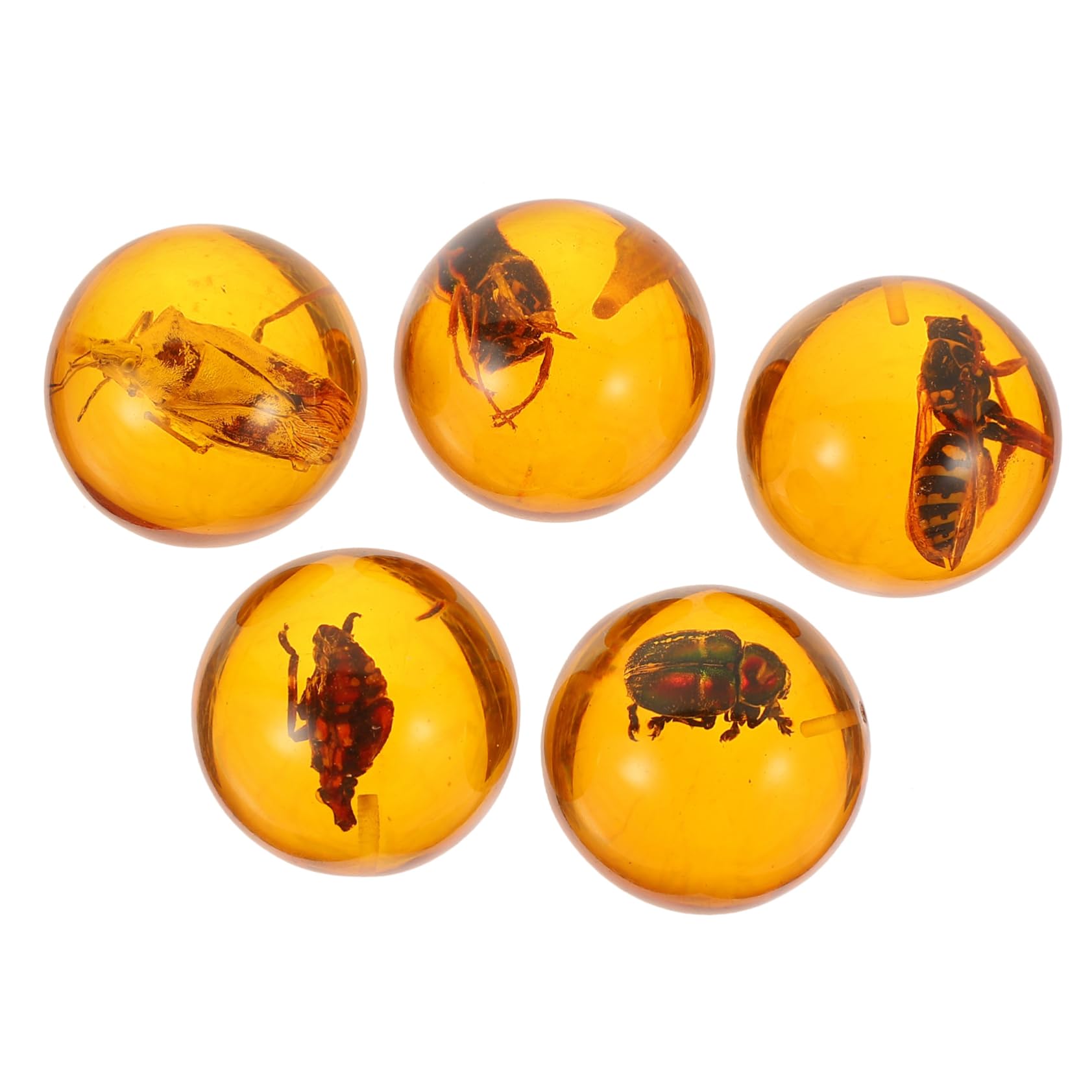 SUPVOX Insect Amber Resin Decoration 5pcs Resin Crafts for DIY Jewelry Insect Keychain