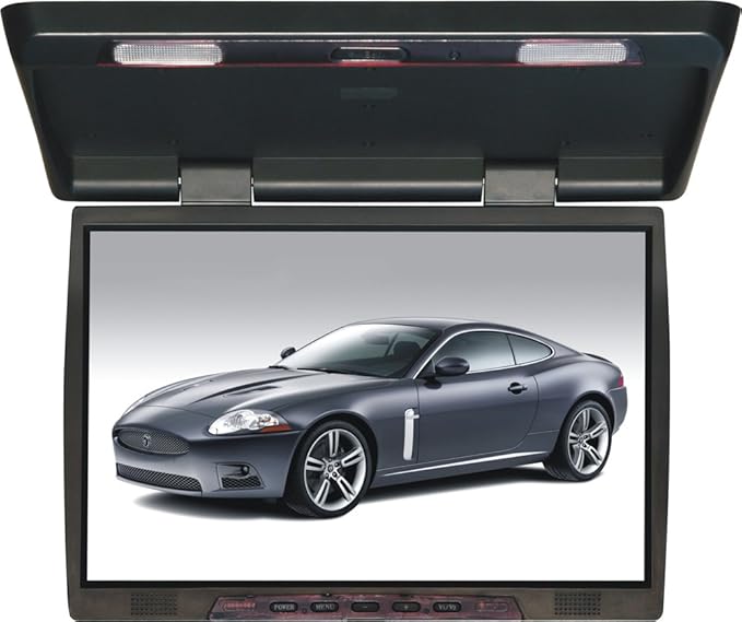 20 flip down monitor Clearance