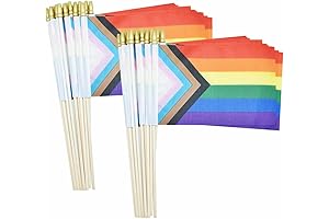 50 Pack Pride Flag Small for Unwavering Representation