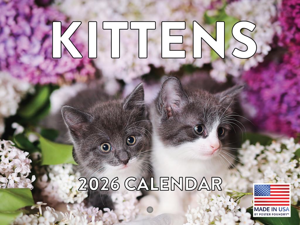 Kitten Calendar 2026 Cat Kitty Gifts Monthly Wall Calender 12 Month | American Made In The USA