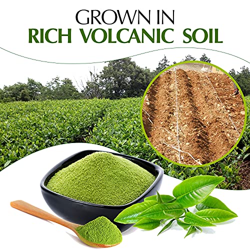 Té verde japonés Matcha ceremonial en polvo 30 g miniatura 6