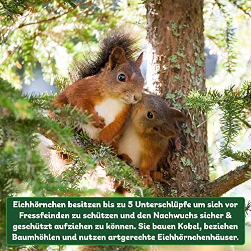 ERDENFREUND® Eichhörnchen Kobel artgerecht mit 3 Fluchtlöchern Eichhörnchenhaus zum Nisten Jungtiere aufziehen und für die Winterruhe von Eichhörnchen