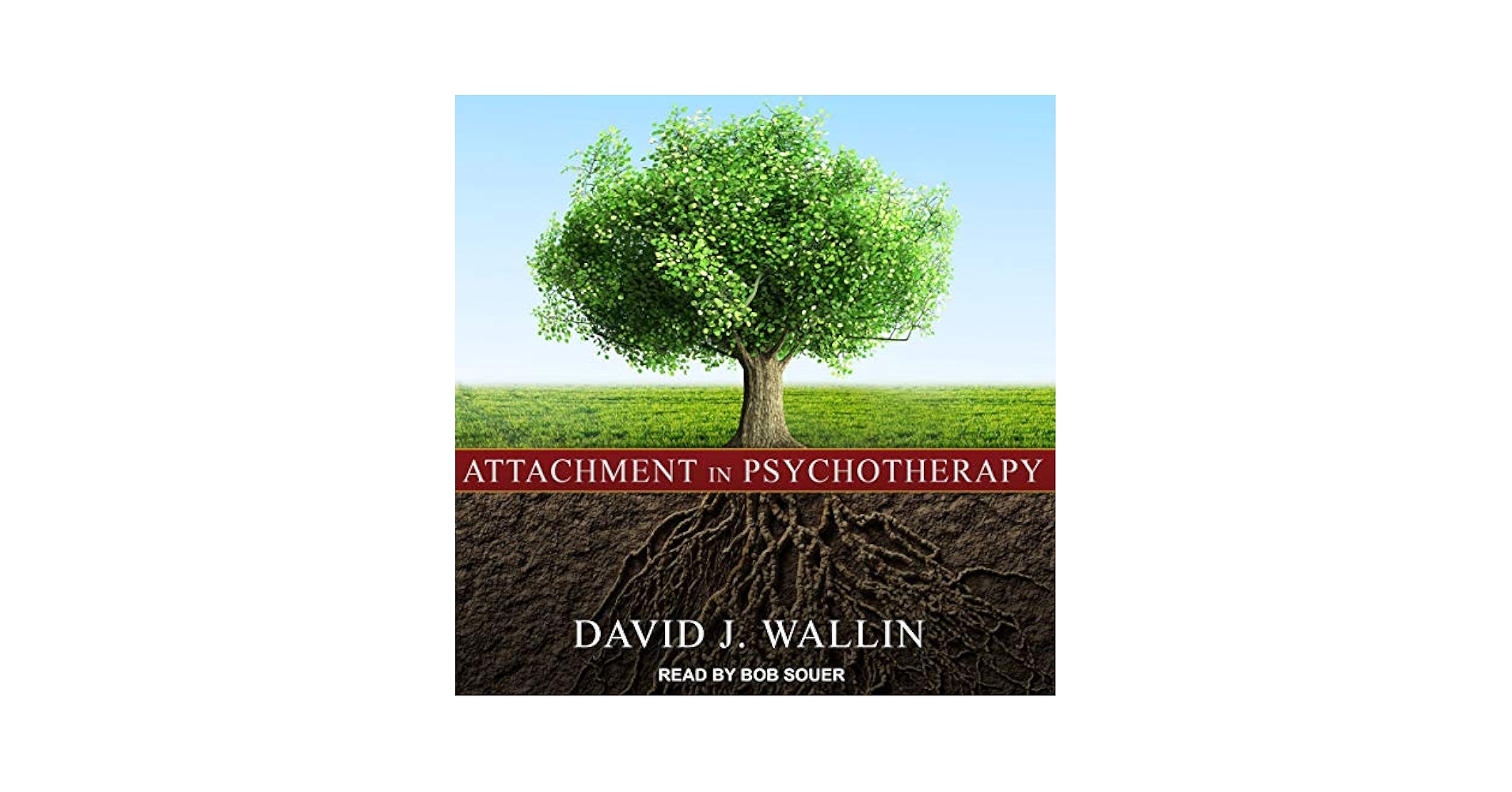 Attachment in Psychotherapy [ペーパーバック] Wallin，David J. Attachment in Psychotherapy: 9781462522712: Medicine