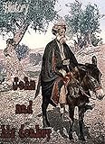  Joha and his donkey: Joha (Joha and his donkey at the market Book 1) (English Edition)