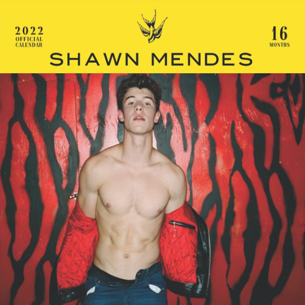 Buy Shawn Mendes 2022 Shawn Mendes 2022 Planner Perfect for Organizing