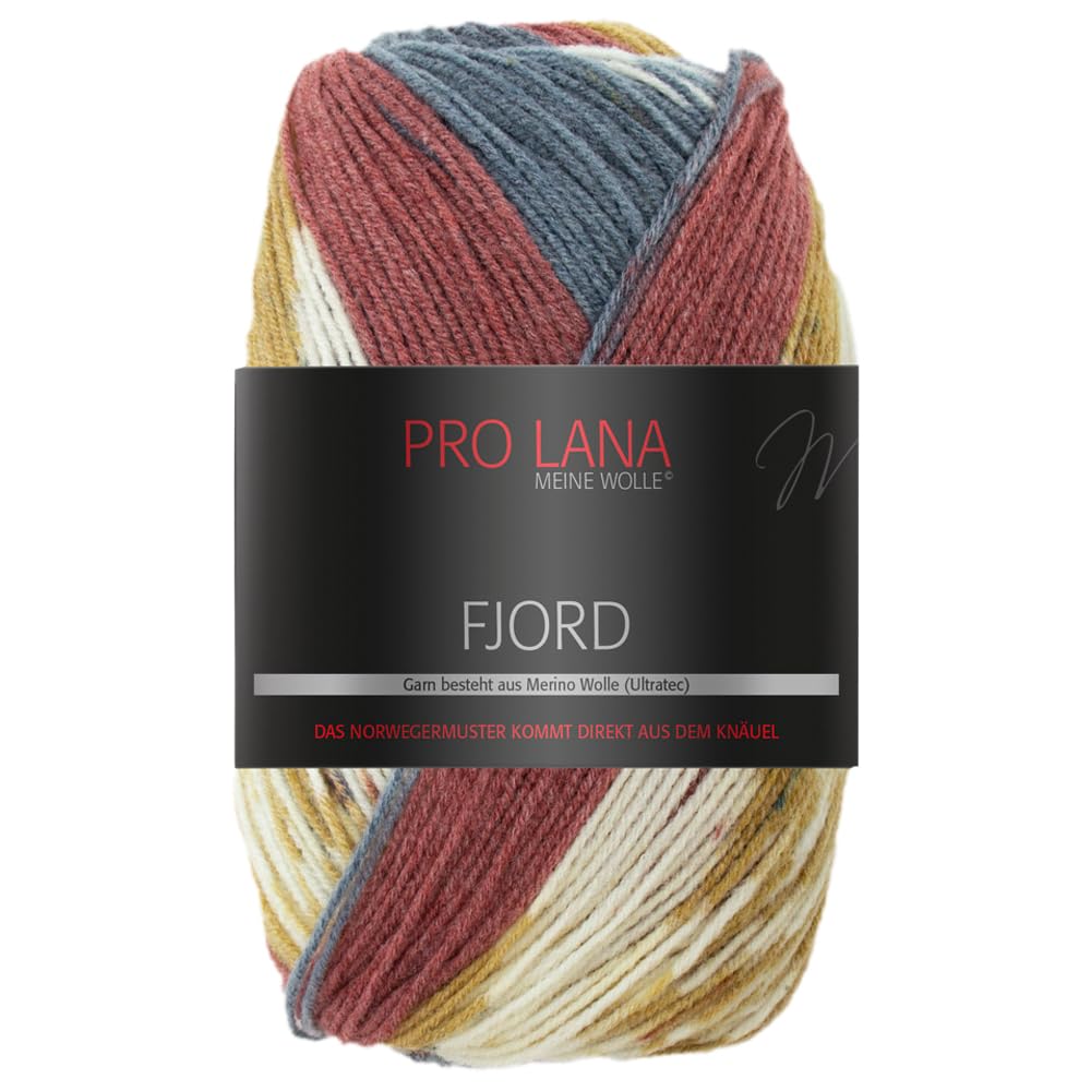 Frida's Wollhaus Farbverlaufsgarn 100g | Effektgarn Zum Stricken & Häkeln, Lauflänge 260 M, Nadelstärke 3,5-4 Mm