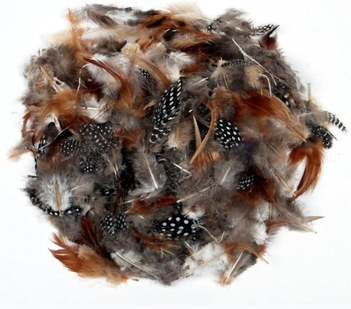 Creation Station Natural Feathers