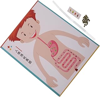 NOLITOY 4 Sets Modell Kleinkindspielzeug Lehrmodell Werkzeuge Lernrequisiten Modell des Verdauungssystems Lernspielzeug Für Wissenschaft DIY Experimentierset