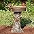 BYYLECL Bird Bath for Garden, Garden Statue Ornament Resin, Raccoon Bird Bath Bowl for Outdoors Garden Backyard Landscape Decorations, 20cm(7.87IN)